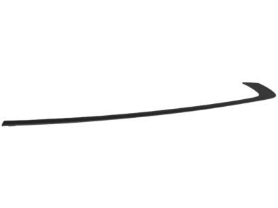 Dodge 57010506AM MOLDING Day Light Opening Rear Door