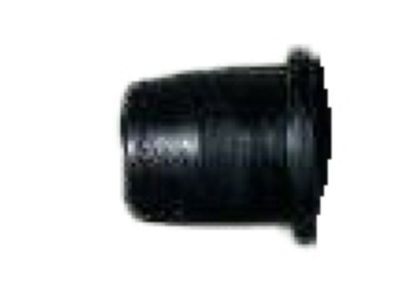 Dodge B350 Door Moldings - 4057555