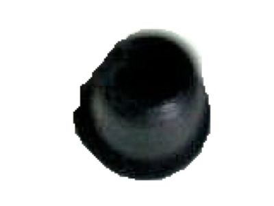 Dodge B350 Door Moldings - 4057555