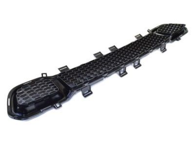 Mopar 68203216AA Lower Grille, Front