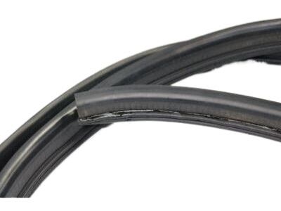 Mopar 55394030AF Weatherstrip, Front Door