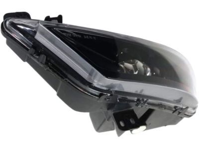 Chrysler 300 Fog Light - 68294009AA