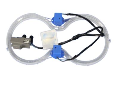 Dodge 68101625AA Trim