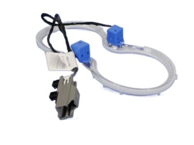 Dodge 68101625AA Trim