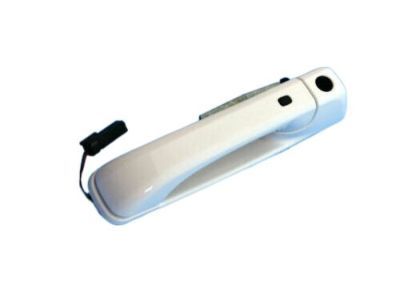 Ram 1UJ81GW7AI HANDLE Exterior Door