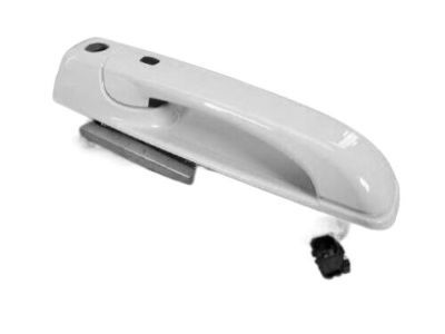 Ram 1UJ81GW7AI HANDLE Exterior Door