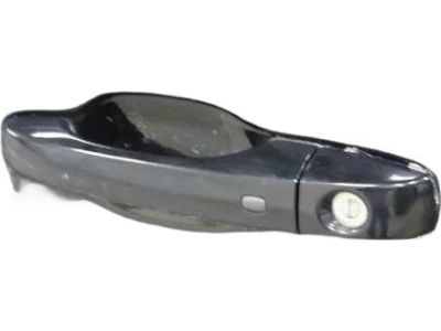 Mopar 1RH64DX8AG Handle Exterior Door, Front Outer
