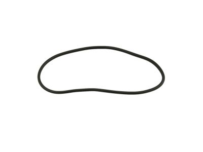 Mopar 55399255AC Weatherstrip Rear Door Mounted Mounted To The Body