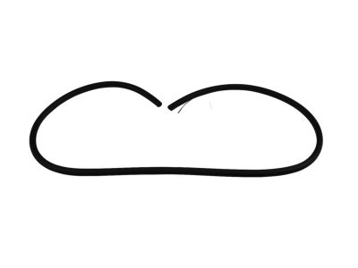 Mopar 68184800AA Weatherstrip Liftgate Opening