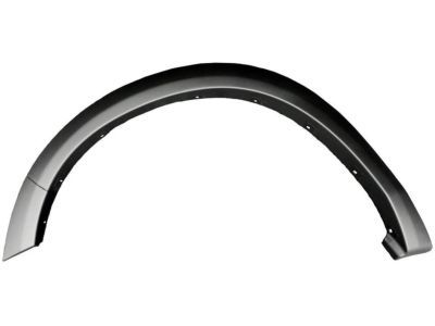 Ram 1TD27TZZAG Wheel Flare