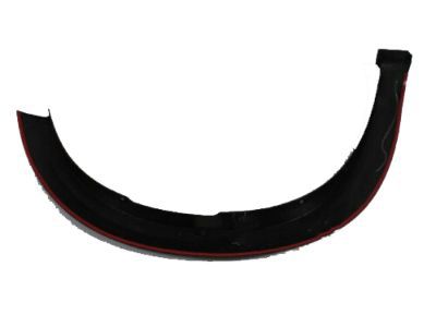 Ram 1TD27TZZAG Wheel Flare