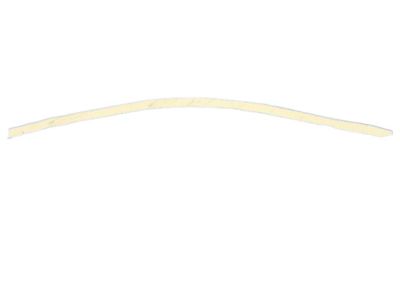 Chrysler 4894431AC Black Out Tape