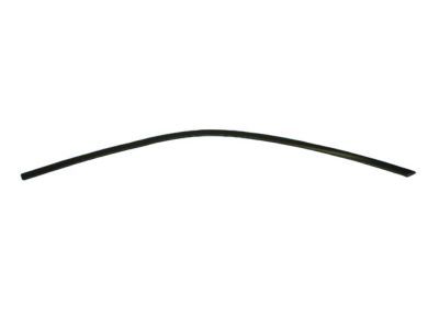 Dodge 57010504AJ MOLDING Day Light Opening Front Door