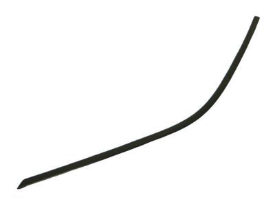 Dodge 57010504AJ MOLDING Day Light Opening Front Door