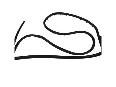 Mopar 68040047AK Weatherstrip Rear Door Mounted