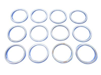 Dodge 5015887AA Differential Carrier Shim