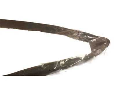 Dodge 4894687AC Glass Weatherstrip