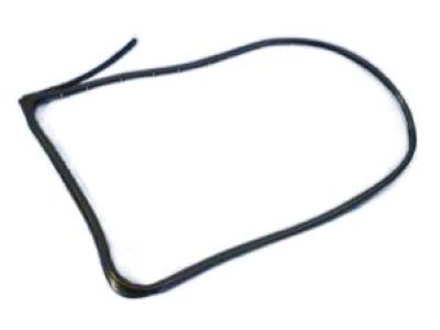 Jeep 68045993AA WEATHERSTRIP Rear Door Mounted