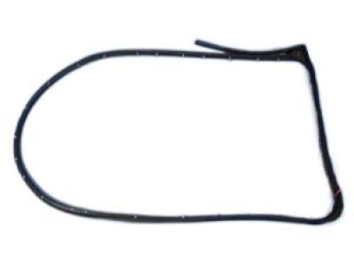 Jeep 68045993AA WEATHERSTRIP Rear Door Mounted
