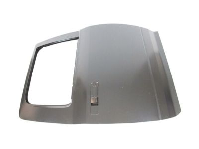 Ram 4589872AB DOOR Rear