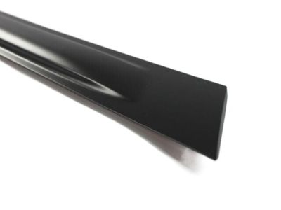 Chrysler UA98SW1AB MOLDING Rear Door