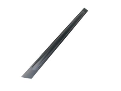 Chrysler UA98SW1AB MOLDING Rear Door