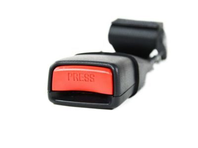 Chrysler 300 Seat Belt - 1HZ141C5AE