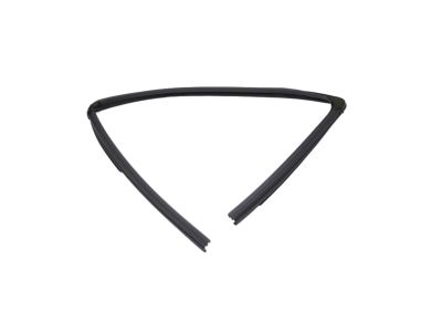 Mopar 68285726AE Run Weatherstrip, Front Passenger Side
