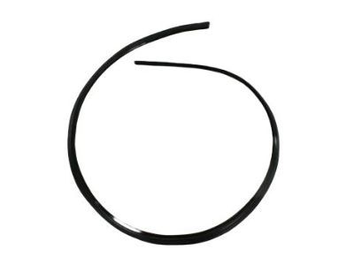 Jeep 55394511AB Upper Molding