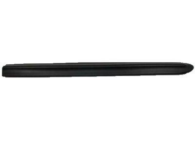 Dodge 55076888AA Side Molding