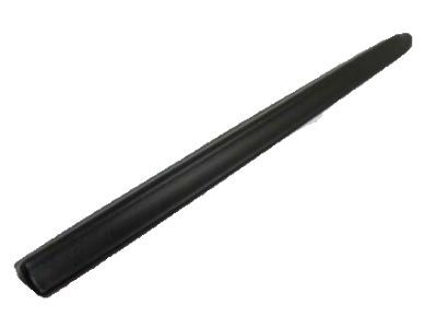 Dodge 55076888AA Side Molding