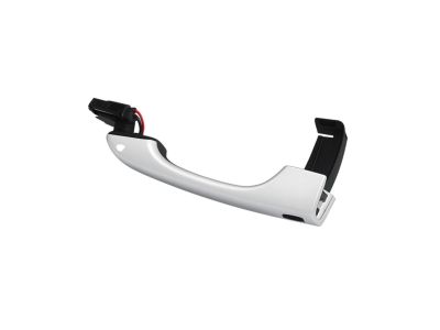 Mopar 1YB52GW7AD Handle Exterior Door