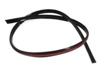 Chrysler 1DZ14AXRAB MOLDING Roof