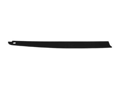 Ram 68375098AA Rail Cover