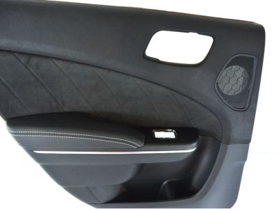 5RW892X9AC Mopar Panel Assembly Rear Door Trim Product Photo 3 of 3