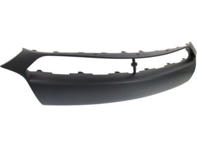 Dodge 1UT51TZZAA Applique Panel