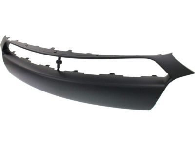 Dodge 1UT51TZZAA Applique Panel