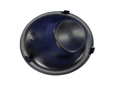 Dodge 68259661AA Lamp Cover