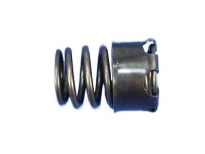 Chrysler 68319331AA SPRING Exhaust Valve