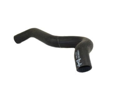 Dodge Ram 2500 Radiator Hose - 52029002AD