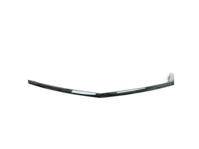 Jeep 68257473AC MOLDING Day Light Opening Rear Door