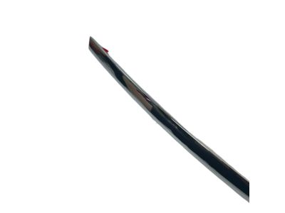 Jeep 68257473AC MOLDING Day Light Opening Rear Door