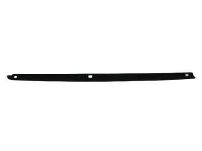 Ram 68375108AA Rail Cover