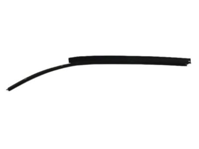 Dodge 55256349AE Side Molding