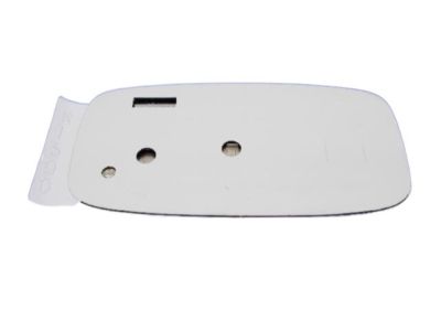 Mopar 68082666AA Nameplate, Front Passenger Side