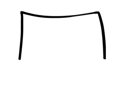 Mopar 68039966AC Running Front Door Glass