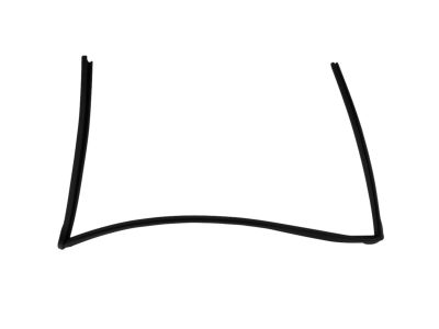 Mopar 68039966AC Running Front Door Glass