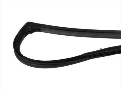 Jeep 55395274AU WEATHERSEAL DOOR TO BODY FRONT full DOOR