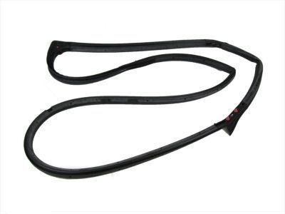 Jeep 55395274AU WEATHERSEAL DOOR TO BODY FRONT full DOOR