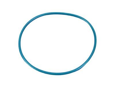 Dodge 4799073 O RING Transmission Clutch PKG 05013090AA